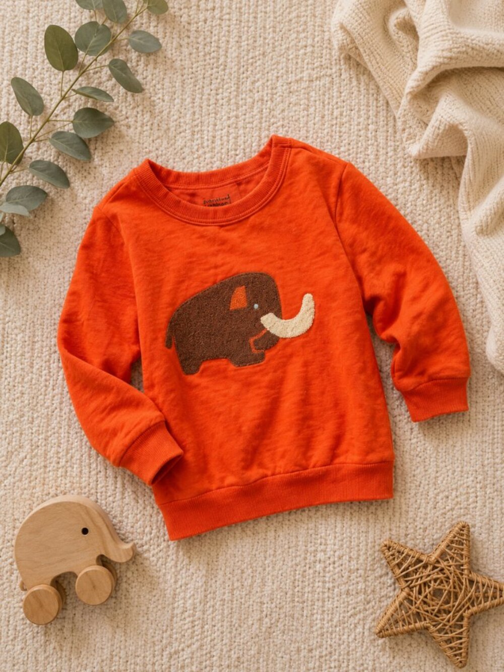 Christian Robinson (Target) Orange Kids' Sweatshirt with Elephant Appliqué